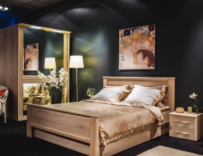 Диана Мод.Д3 Кровать  без ортопед. основания (спальное место 160х200 см)